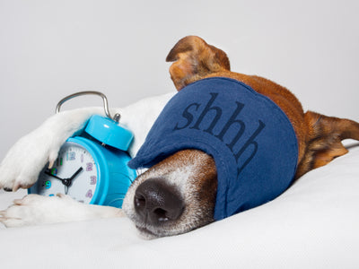 What Is World Sleep Day and Why Is It Important?