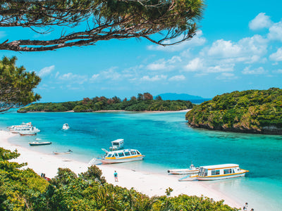 Top 10 Travel Destinations in 2026