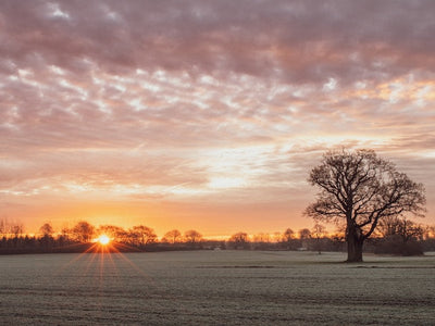 Winter Sun Getaways: The Hottest European Destinations to Escape the Cold